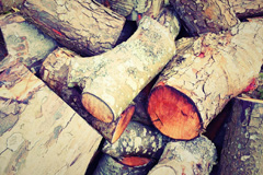 Burness wood burning boiler costs